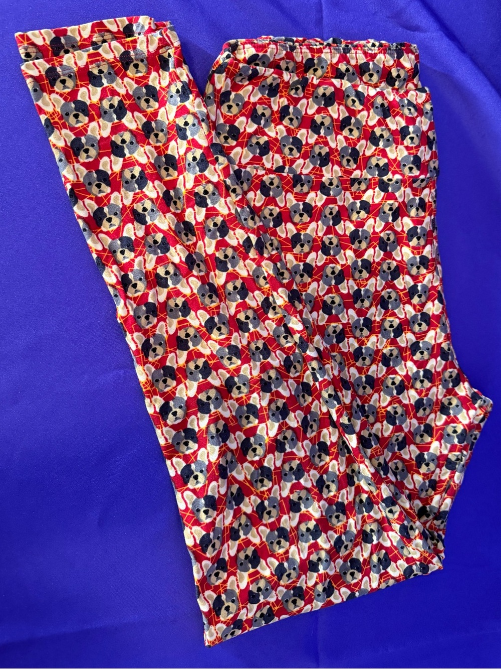 LuLaRoe Women’s Tall & Curvy TC Leggings Frenchie French Bulldog Dog Print EUC